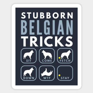 Stubborn Belgian Tervuren Tricks - Dog Training Magnet